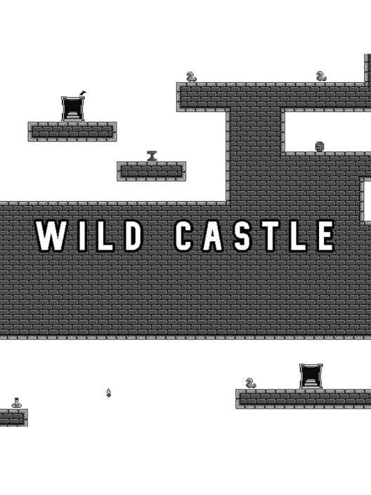 Обложка Wild Castle