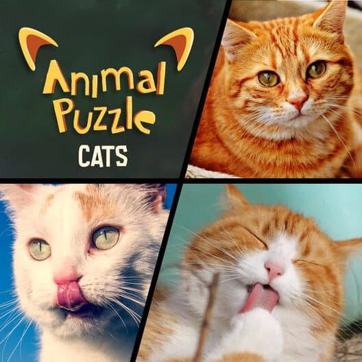 Обложка Animal Puzzle Cats
