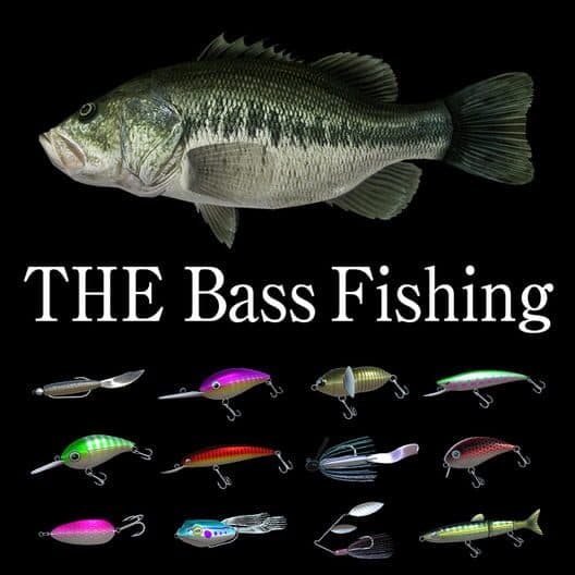 Обложка THE Bass Fishing