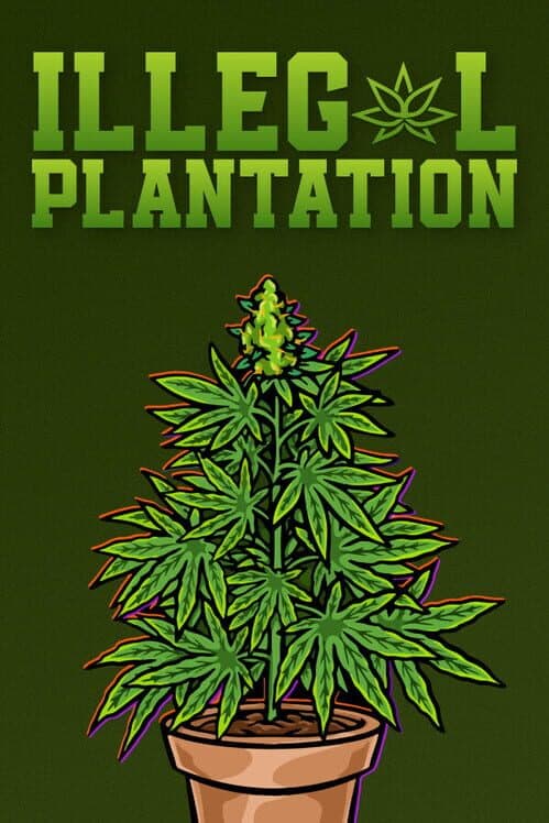 Обложка Illegal Plantation