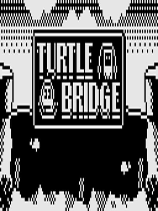 Обложка Turtle Bridge