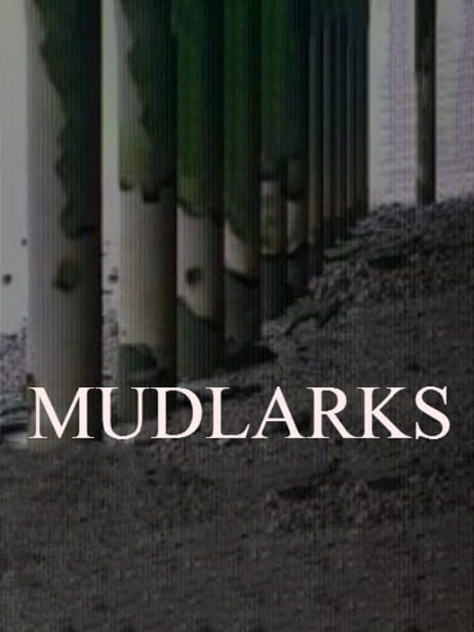 Обложка Mudlarks