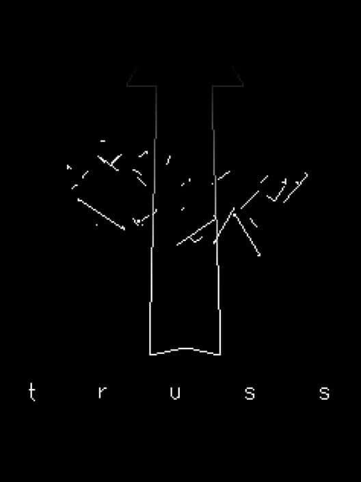 Обложка Truss