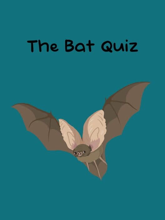 Обложка The Bat Quiz