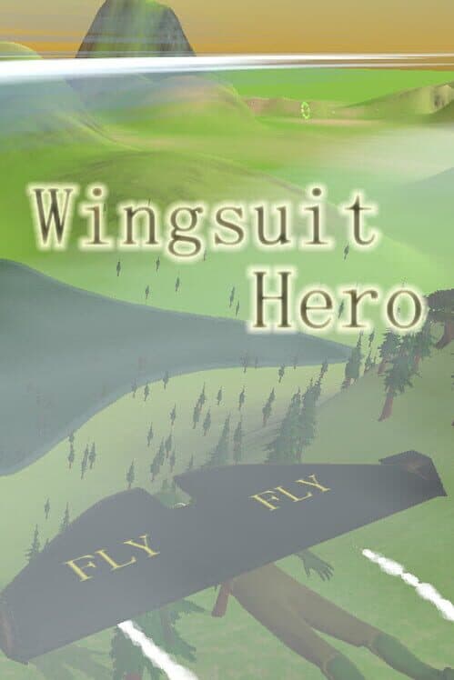 Обложка Wingsuit Hero
