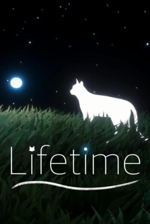 Обложка Lifetime