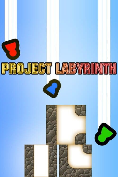 Обложка Project Labyrinth