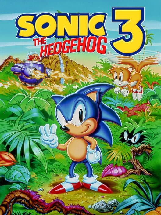 Обложка Sonic the Hedgehog 3