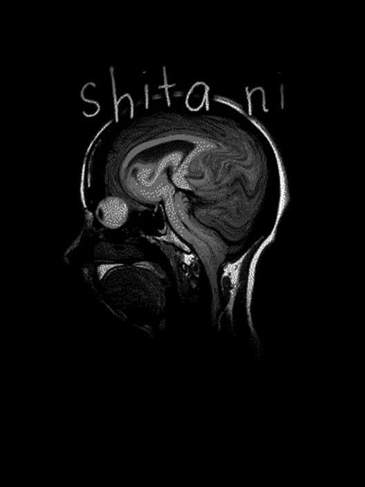 Обложка Shita ni