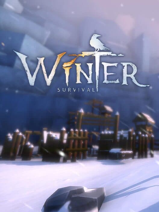 Обложка Winter Survival