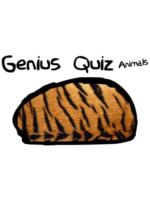 Обложка Genius Quiz Animals