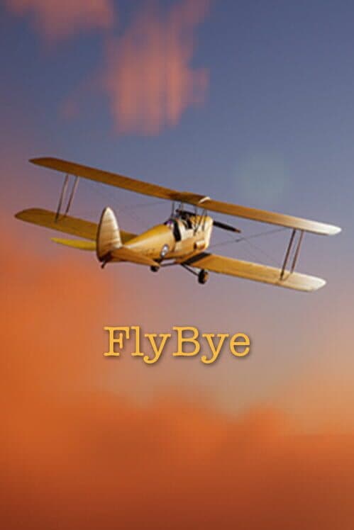 Обложка FlyBye