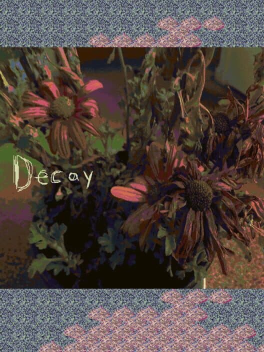 Обложка Decay