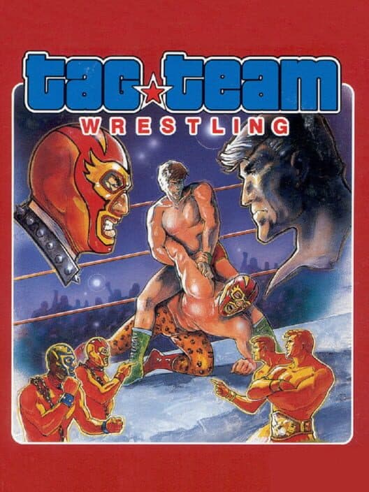 Обложка Tag Team Wrestling
