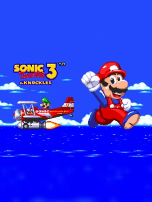 Обложка Super Mario in Sonic 3 AIR