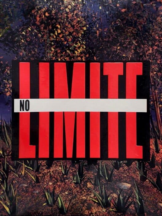 Обложка No Limite