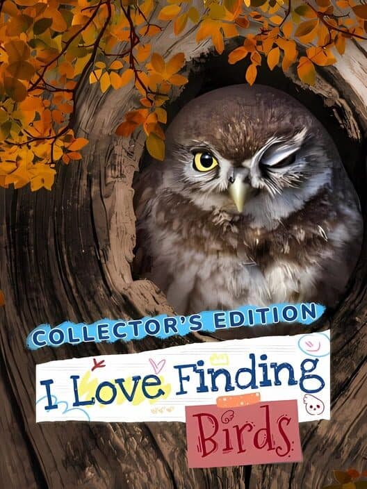 Обложка I Love Finding Birds: Collector's Edition