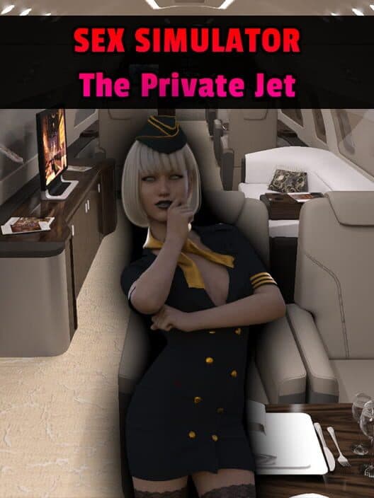 Обложка Sex Simulator: The Private Jet