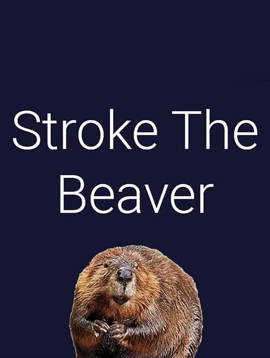 Обложка Stroke The Beaver