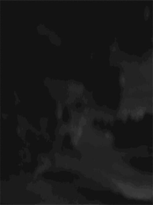 Обложка Moonblood