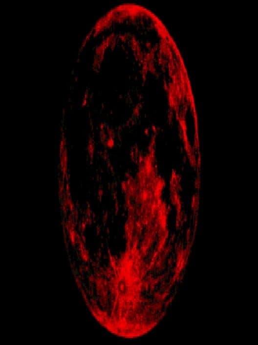Обложка Abscission