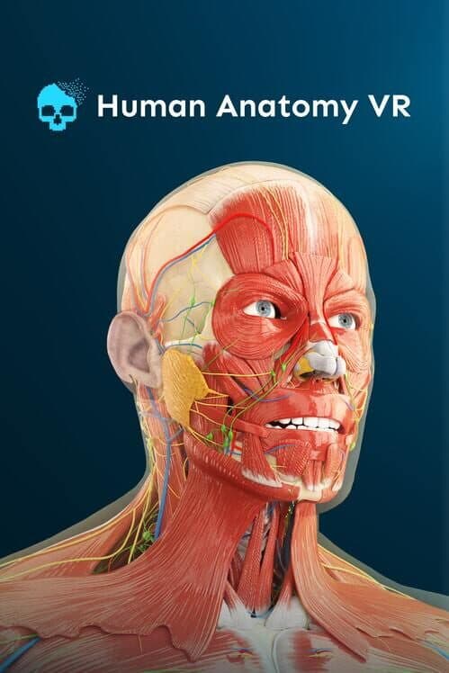 Обложка Human Anatomy VR