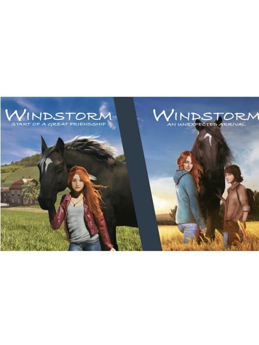 Обложка Windstorm: Double Pack