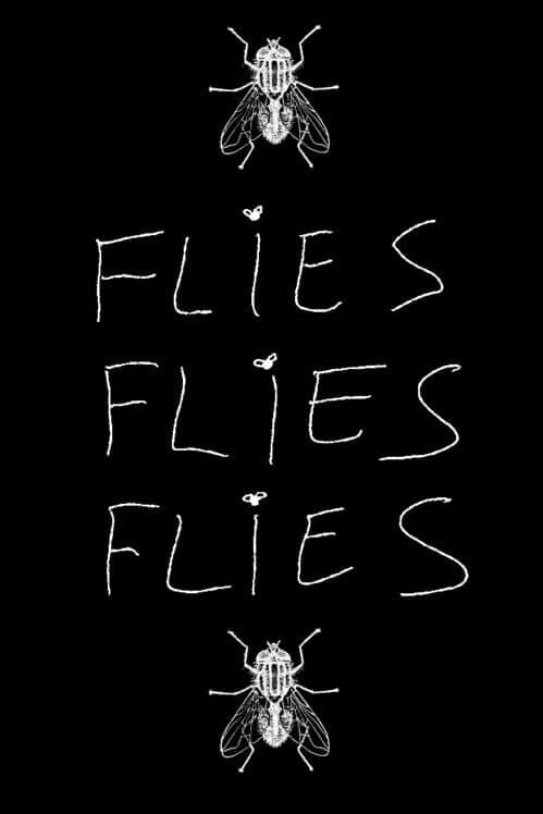 Обложка Flies Flies Flies