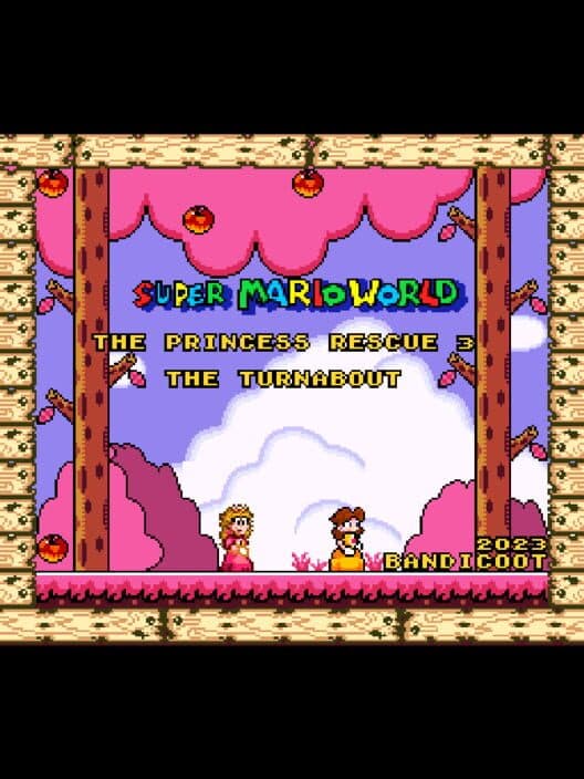 Обложка SMW The Princess Rescue 3: The Turnabout