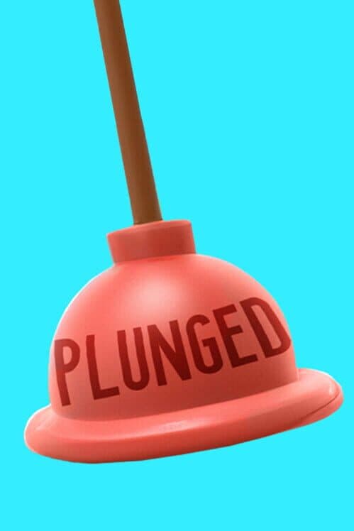 Обложка Plunged