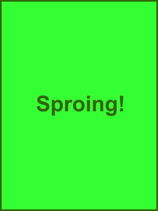 Обложка Sproing!