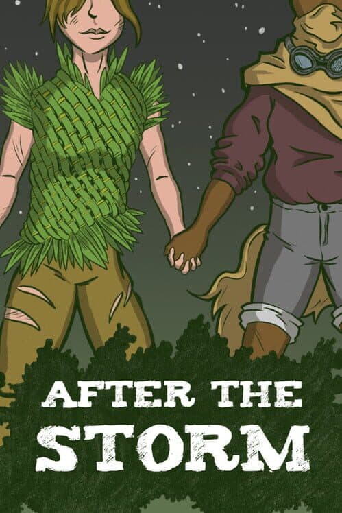 Обложка After the Storm