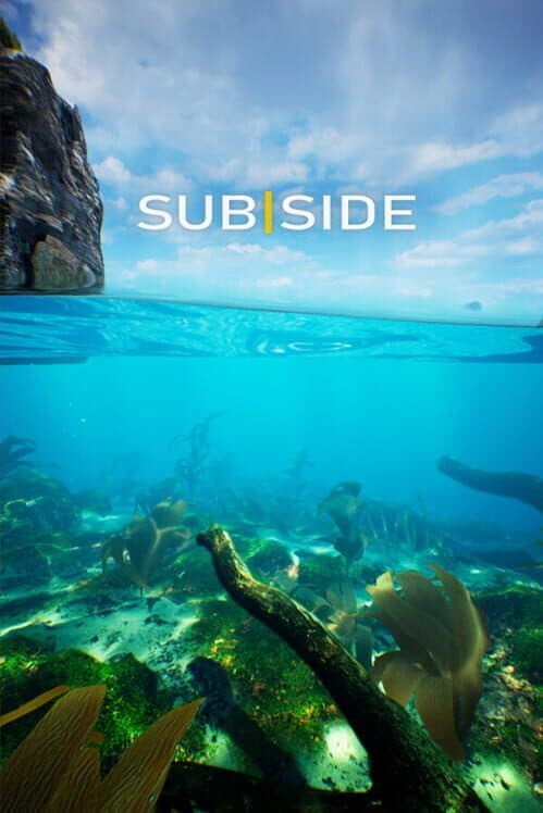 Обложка Subside