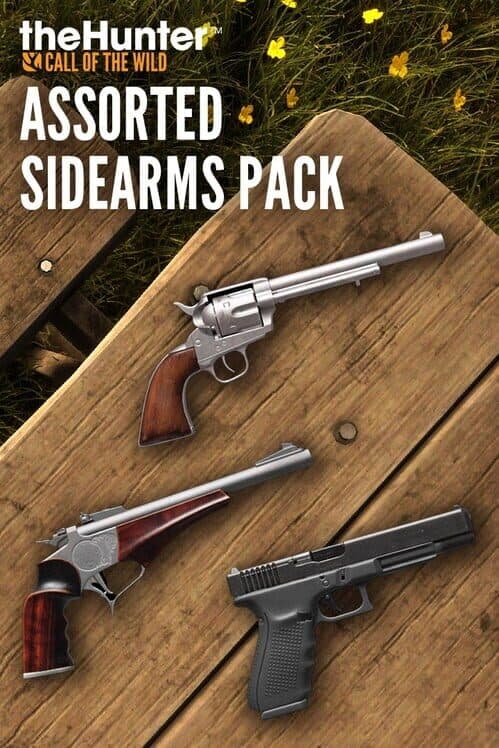 Обложка TheHunter: Call of the Wild - Assorted Sidearms Pack