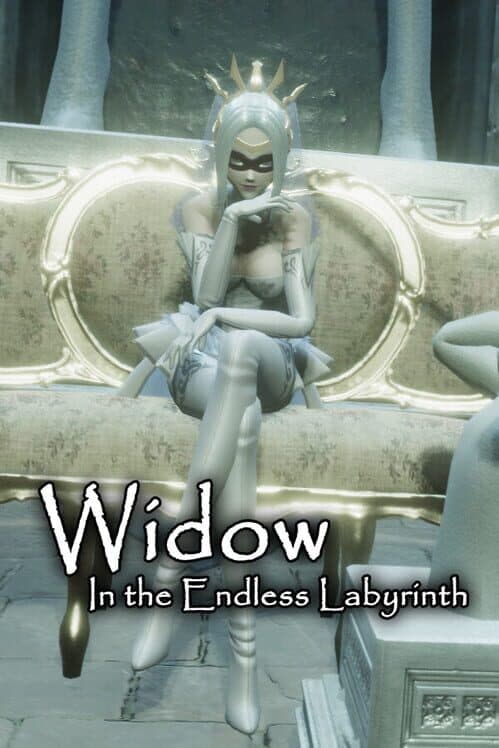 Обложка Widow in the Endless Labyrinth