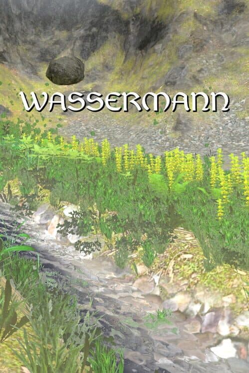 Обложка Wassermann