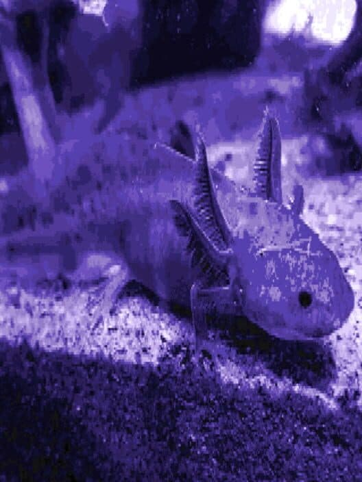 Обложка Axolotl