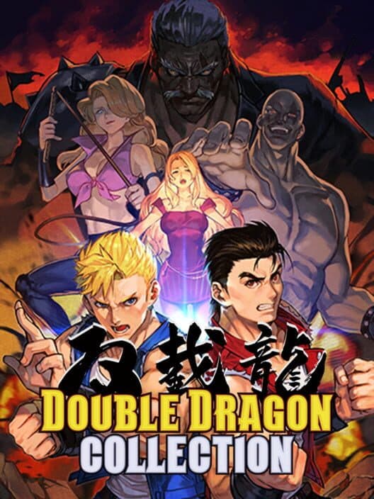 Обложка Double Dragon Collection
