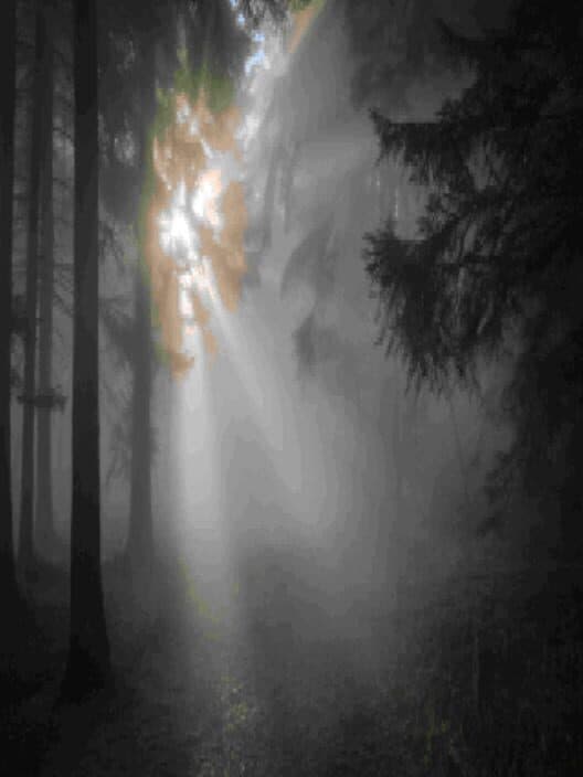 Обложка Deadly Secret Beneath the Dark Wood
