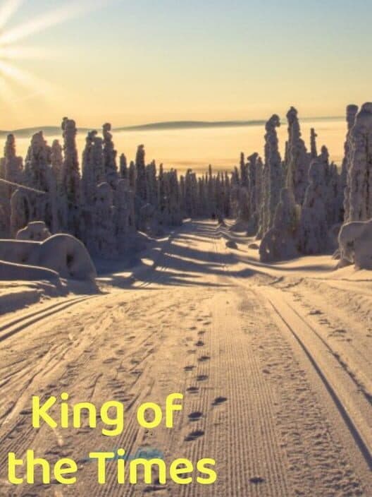Обложка King of the Times