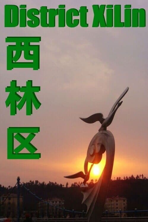 Обложка District XiLin