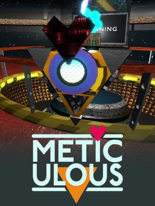 Обложка Meticulous