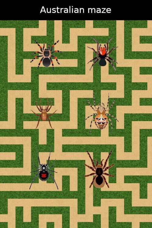 Обложка Australian Maze