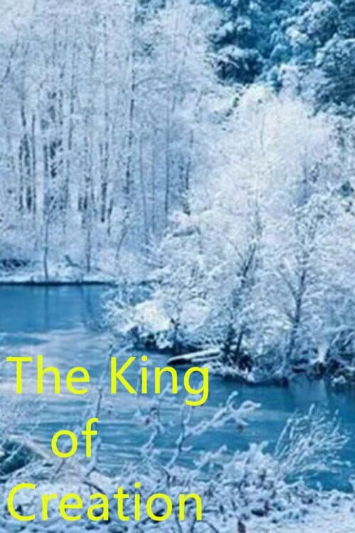 Обложка The King of Creation
