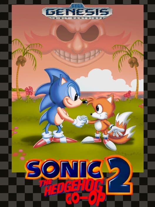 Обложка Sonic the Hedgehog 2 Co-op