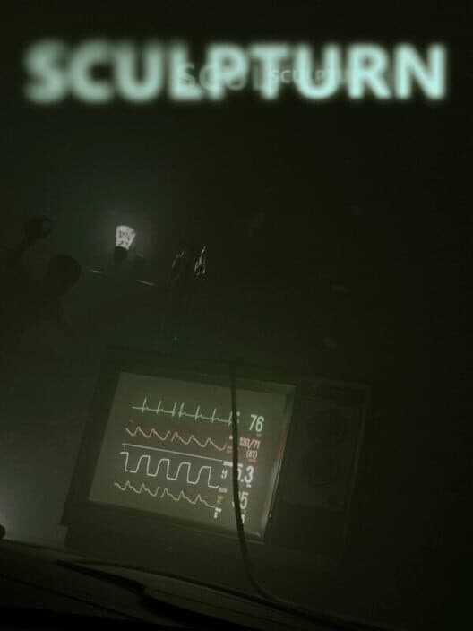 Обложка Sculpturn