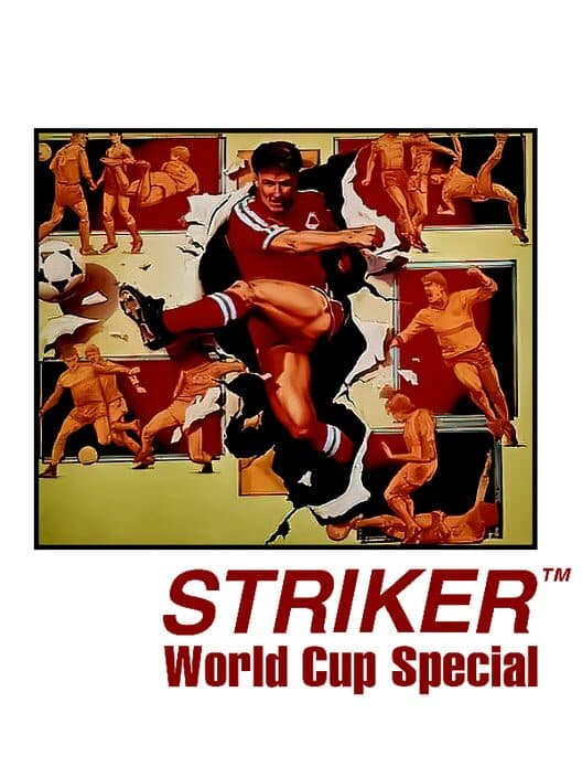 Обложка Striker: World Cup Special
