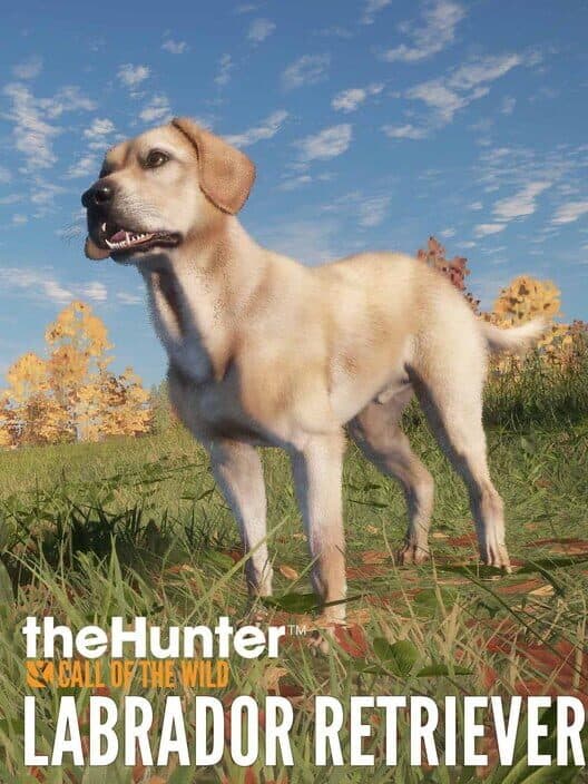 Обложка TheHunter: Call of the Wild - Labrador Retriever