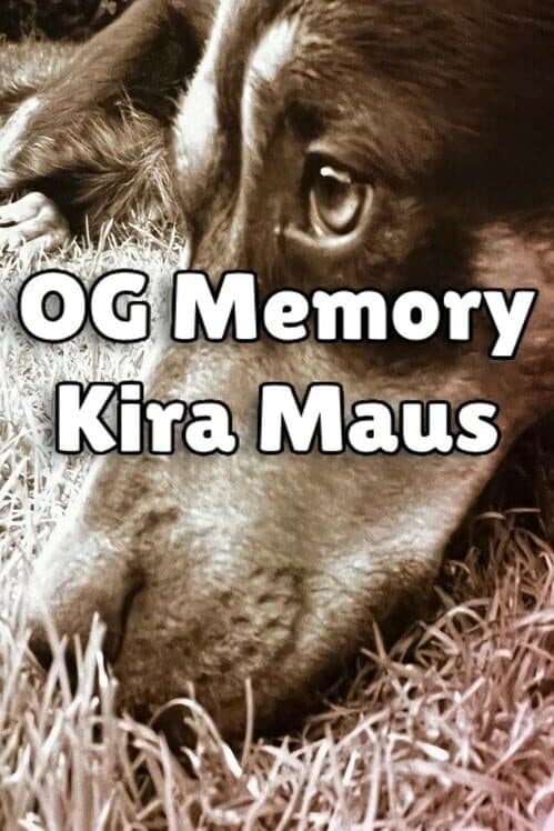 Обложка OG Memory: Kira Maus