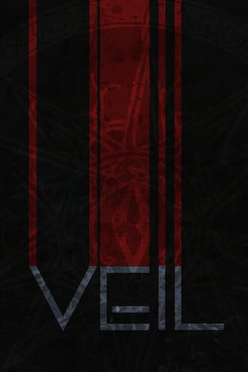 Обложка Veil